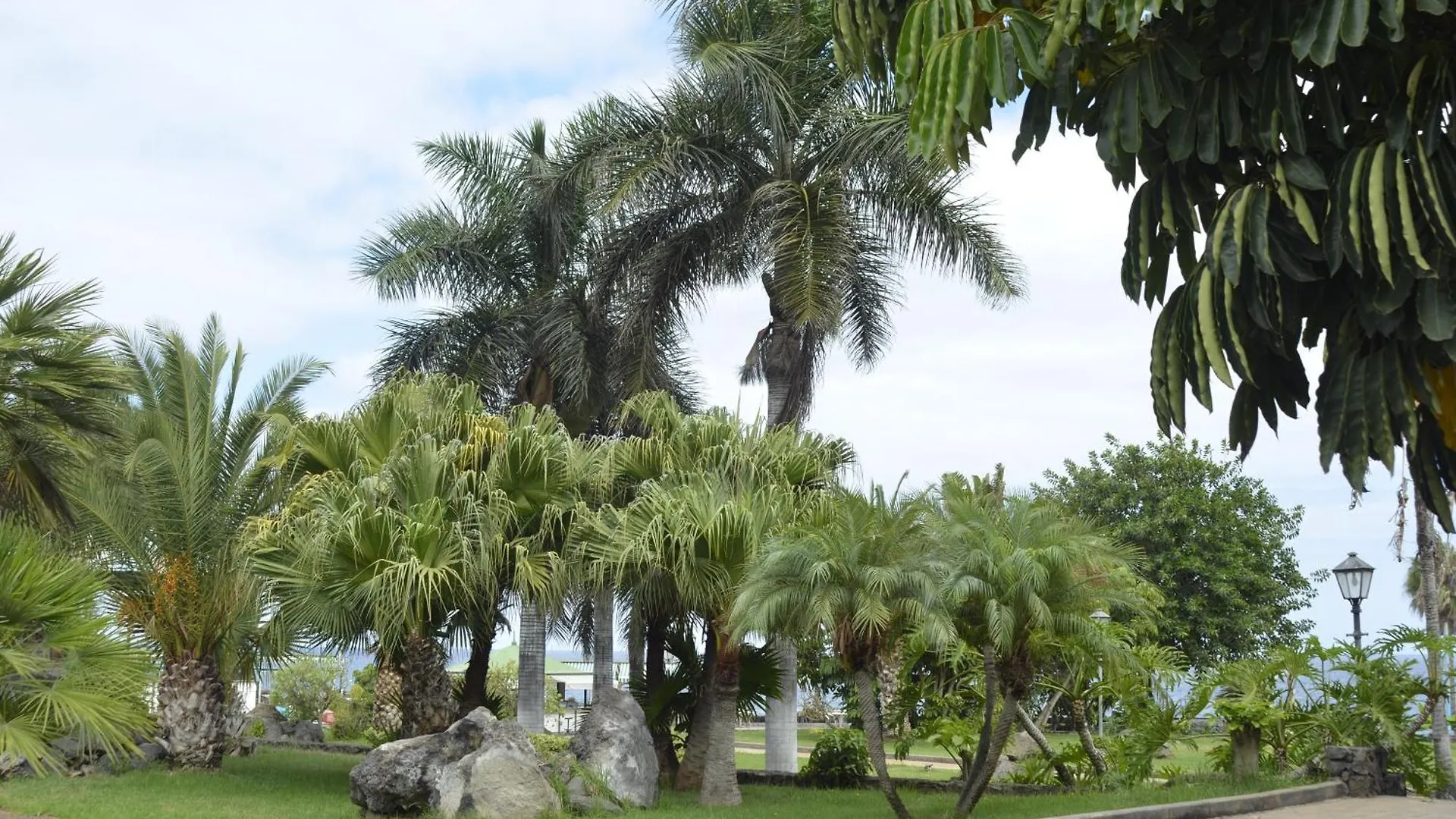 Perla'S House Studio With Incredible Sea View Puerto de la Cruz